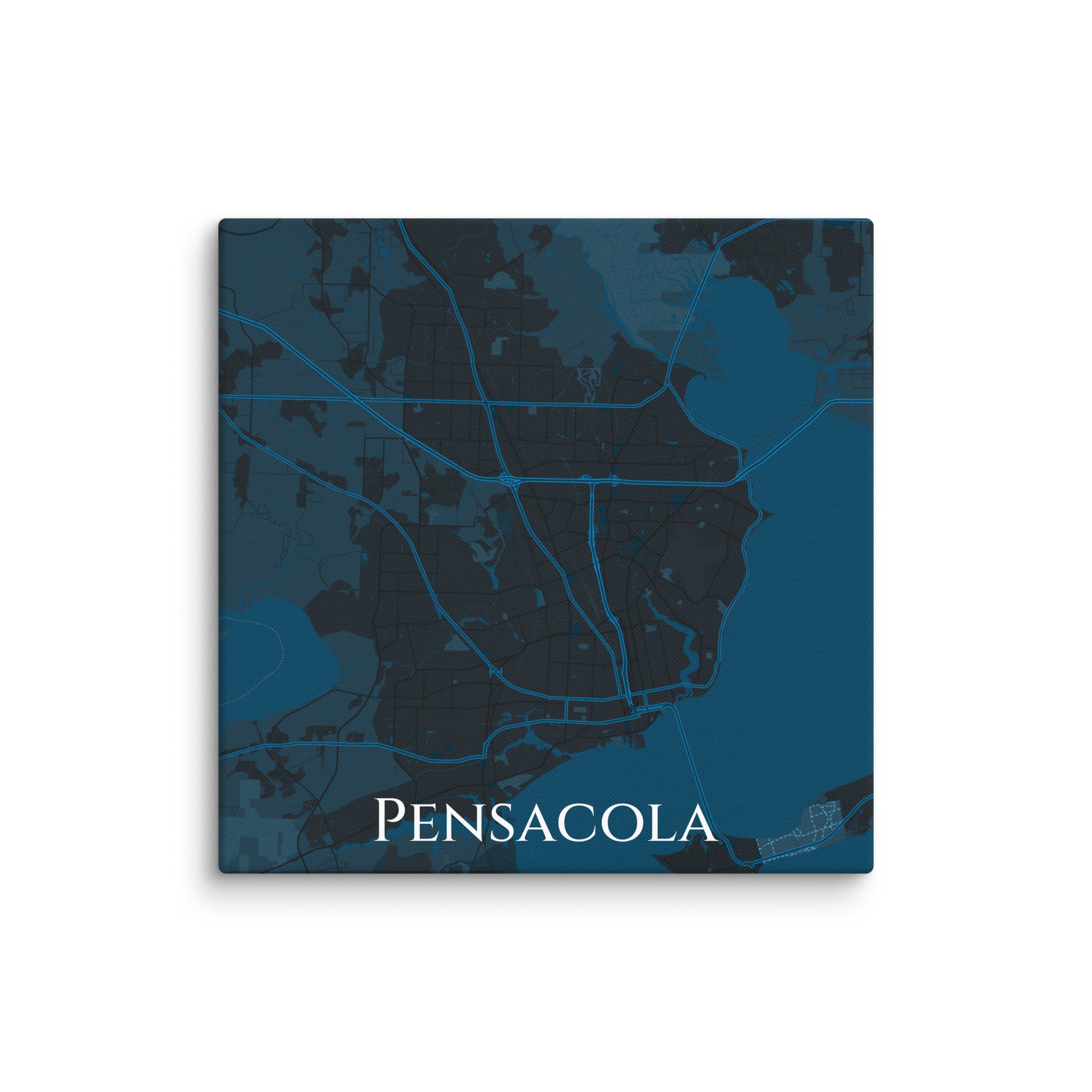 Pensacola City Map Canvas