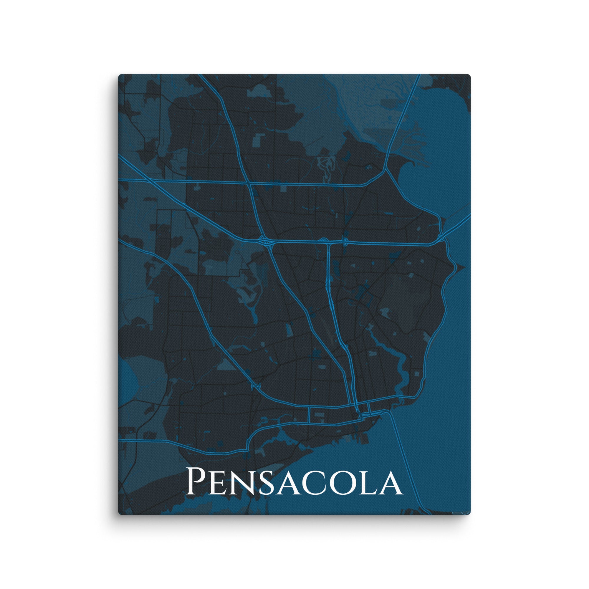 Pensacola City Map Canvas