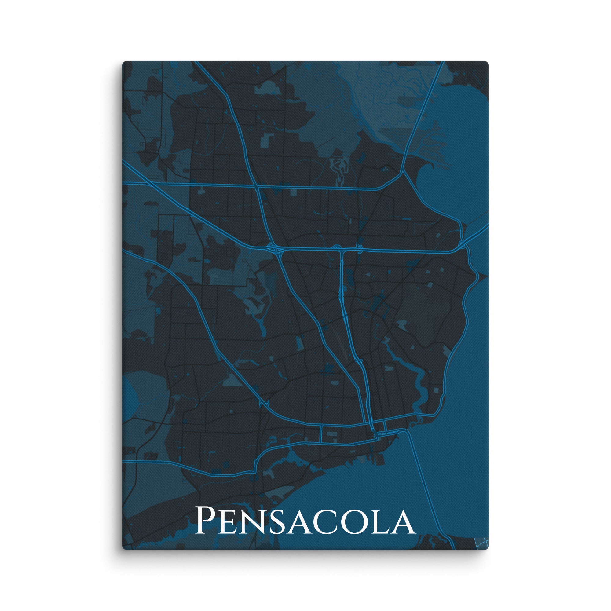 Pensacola City Map Canvas